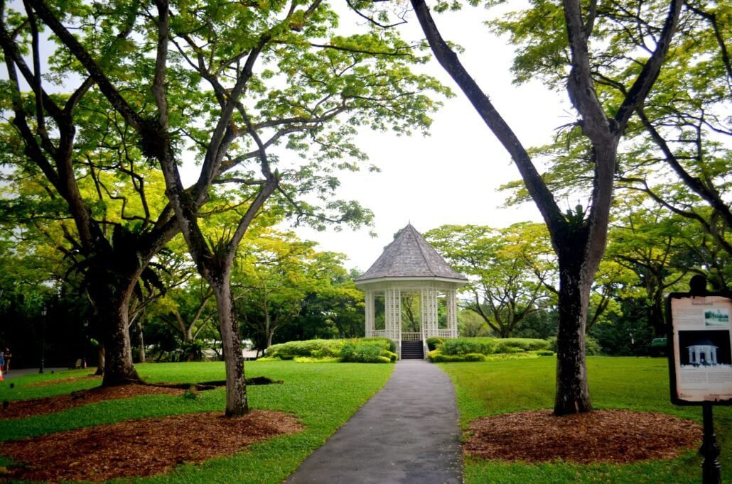 The Singapore Botanic Gardens: A Complete Guide to Nature's Haven 1 Singapore Botanic Gardens